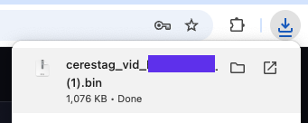 Downloaded File